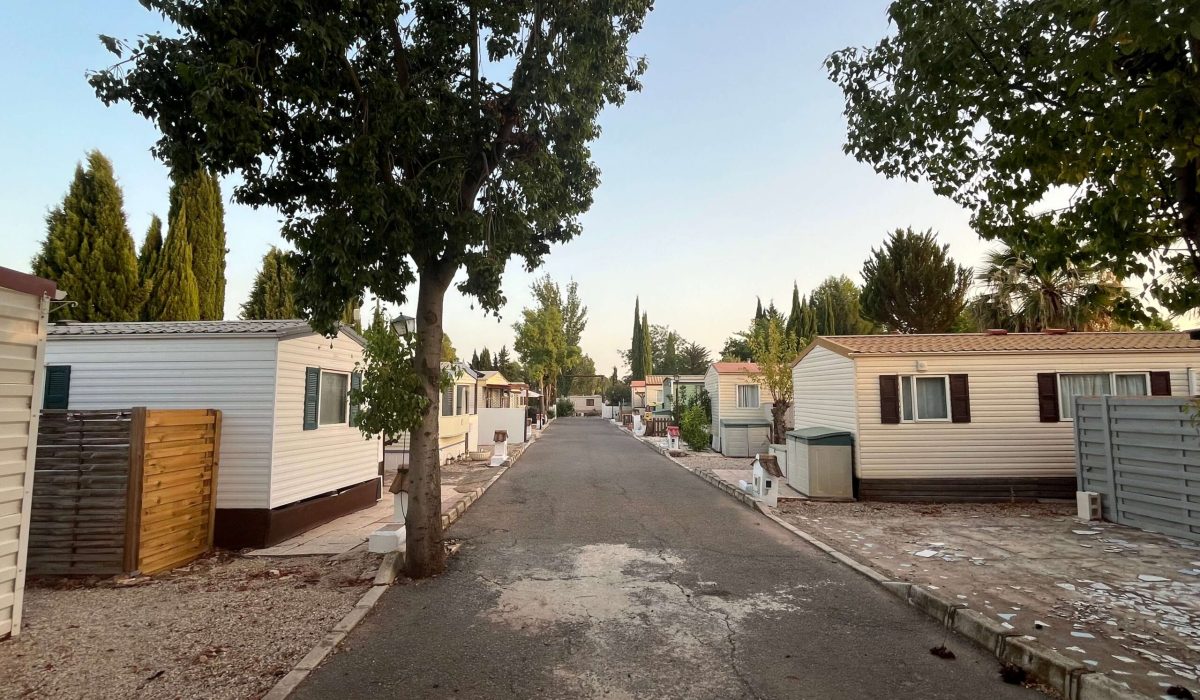 Saydo Park 2024 (16)
