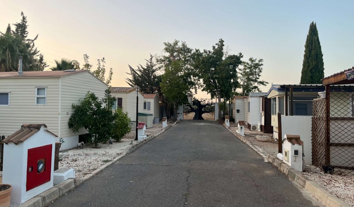 Saydo Park 2024 (18)