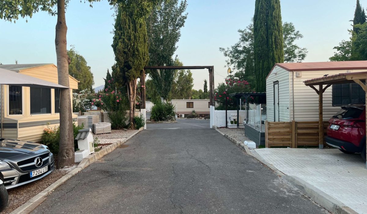 Saydo Park 2024 (19)