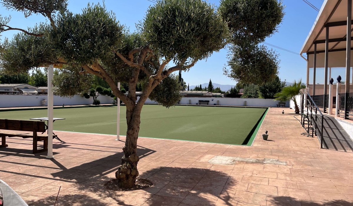 Saydo Park 2024 (21)