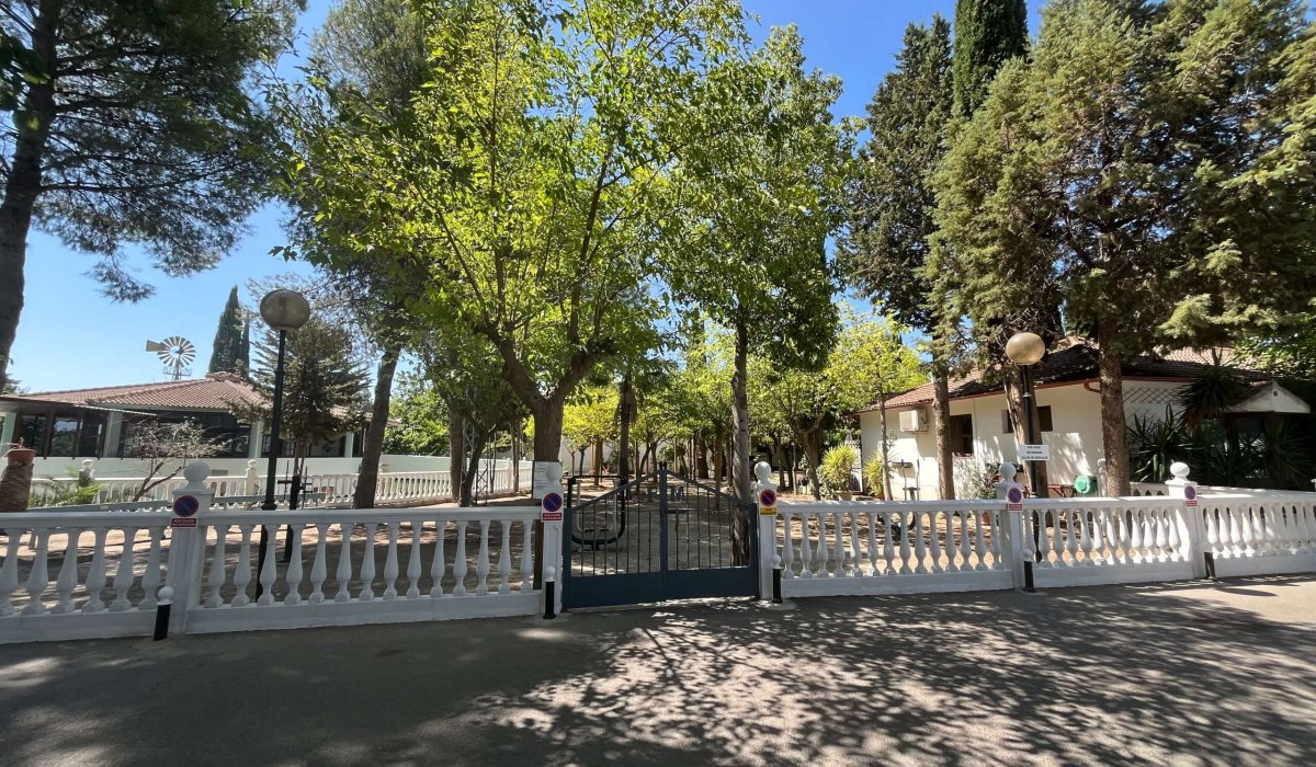 Saydo Park 2024 (63)