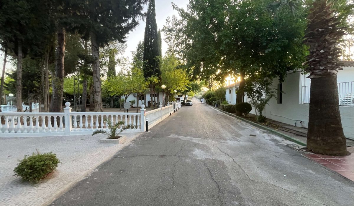 Saydo Park 2024 (9)