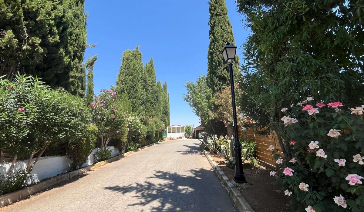 Saydo Park 2024 (99)