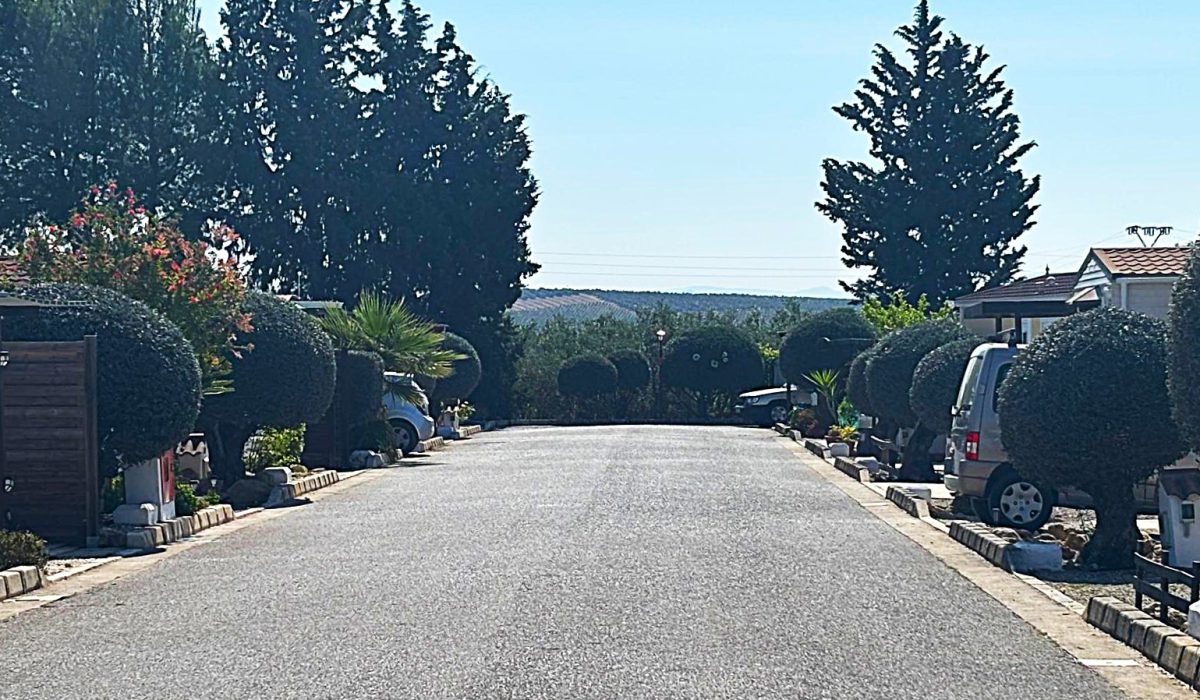 Saydo Park (21)