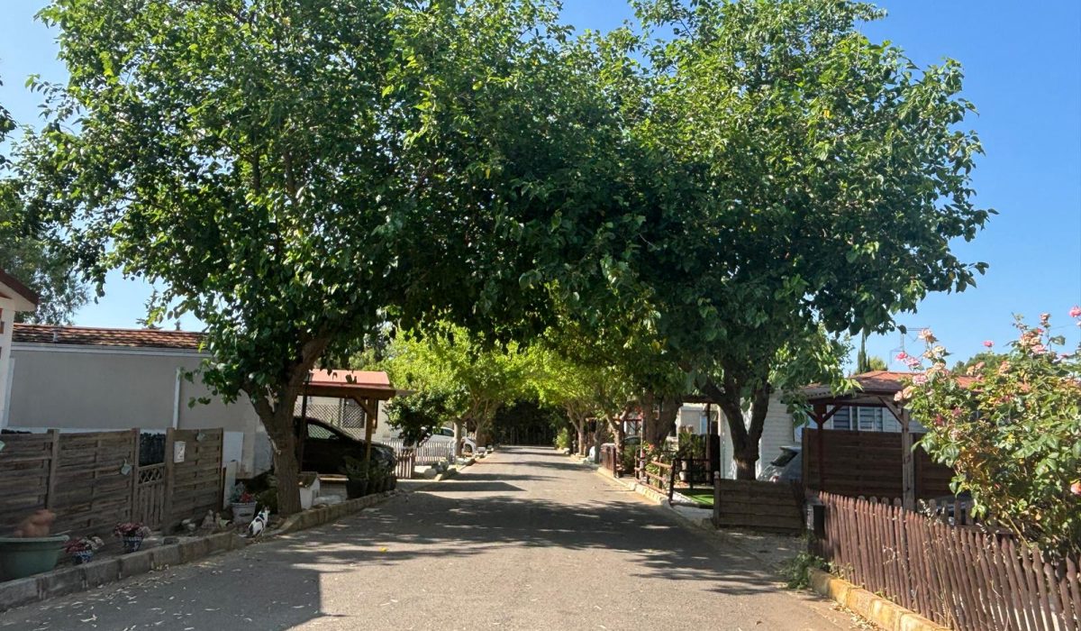 Saydo Park (22)