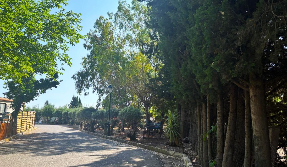 Saydo Park (23)