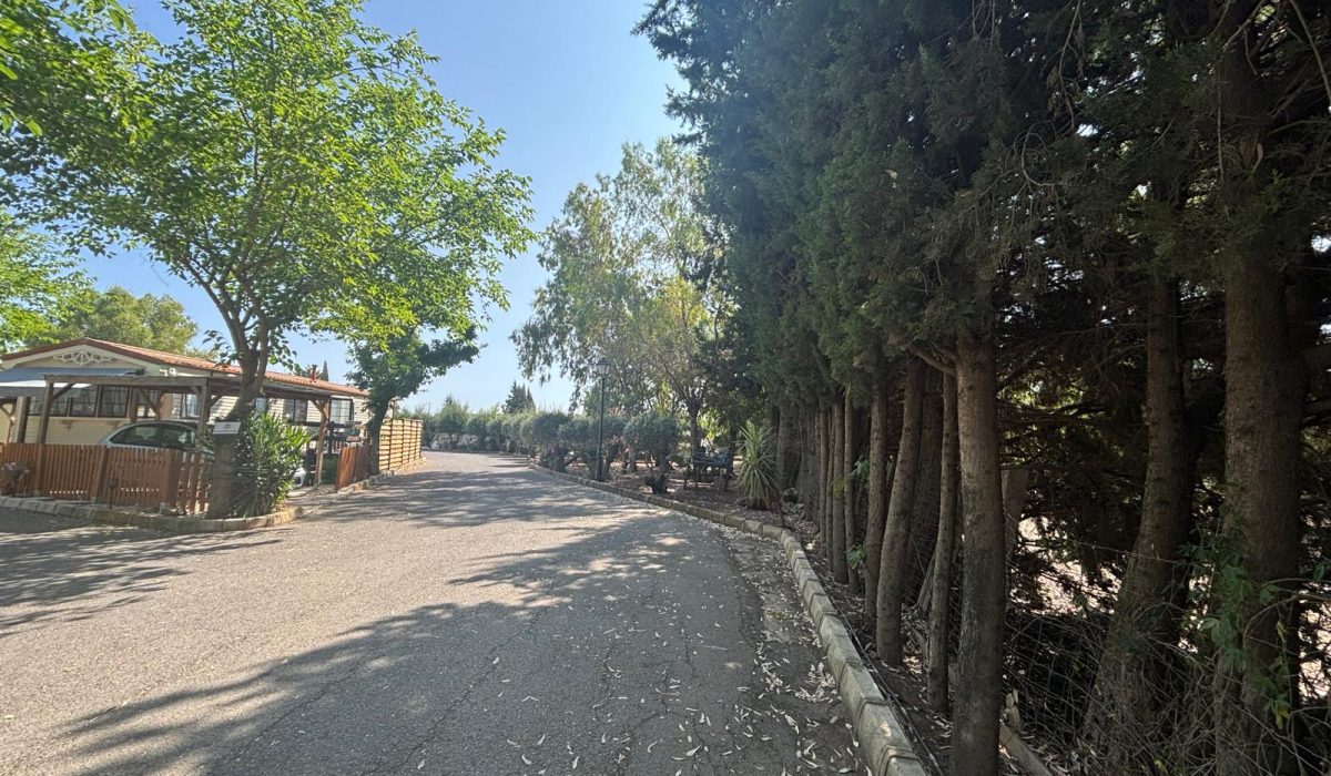 Saydo Park (26)