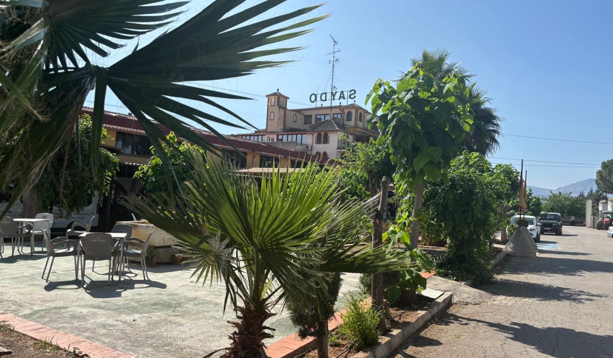 Saydo Park (30)
