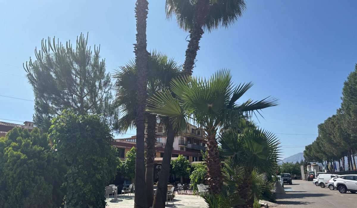 Saydo Park (31)
