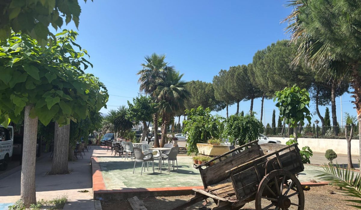 Saydo Park (32)