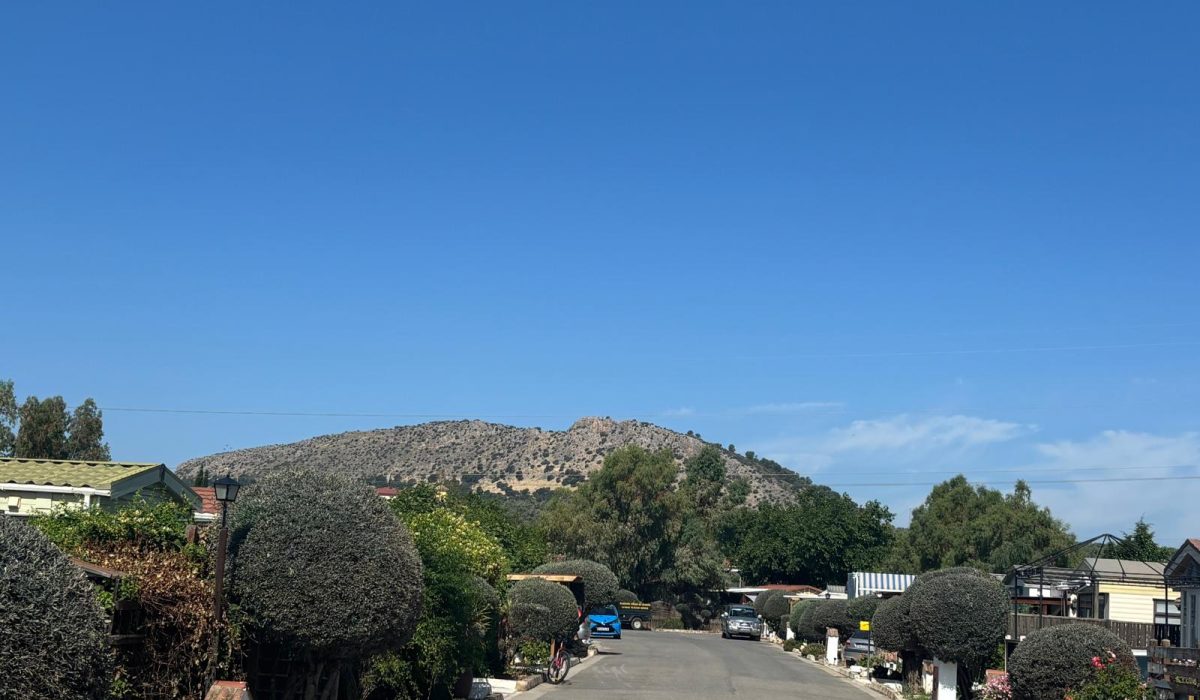 Saydo Park (63)