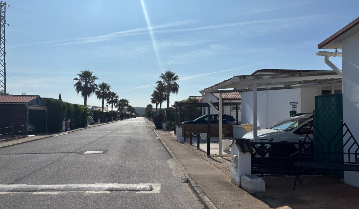 Saydo Park (9)