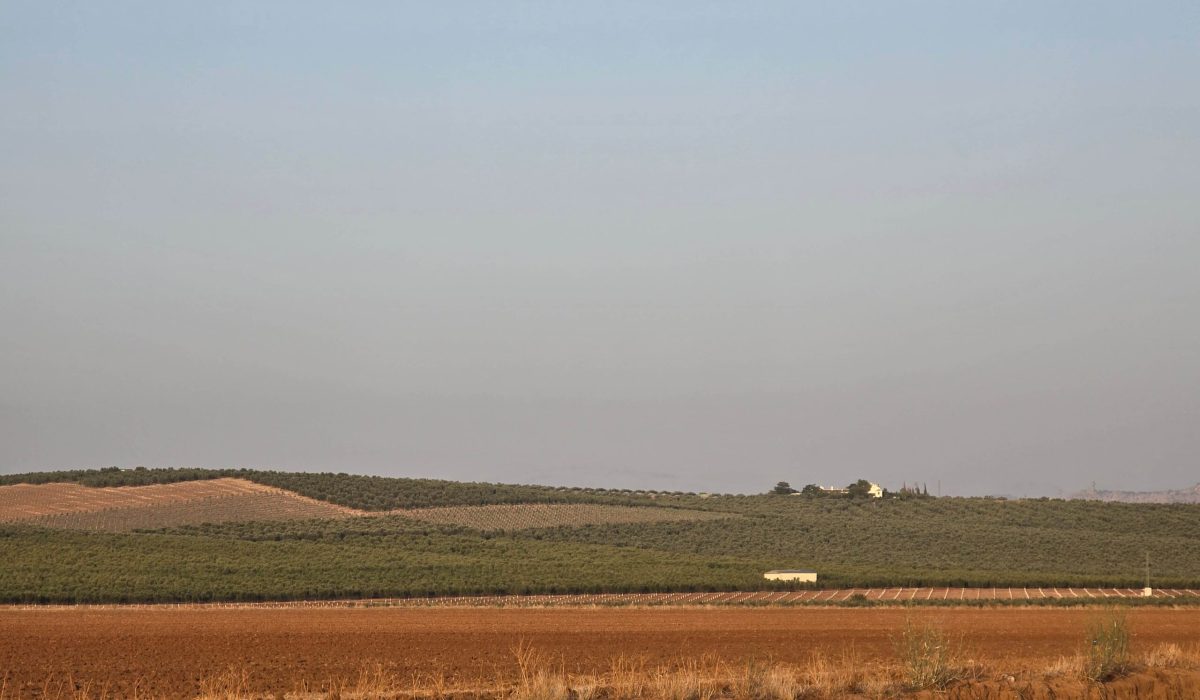 Saydo Windmill (2)