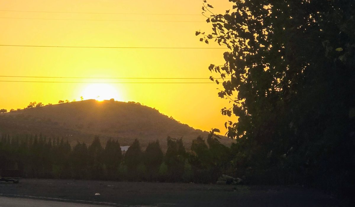 Saydo Windmill (7)