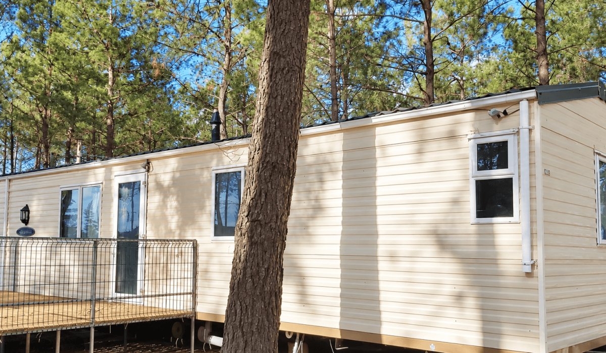 Sunlit Cream Mobile Home Among Pines