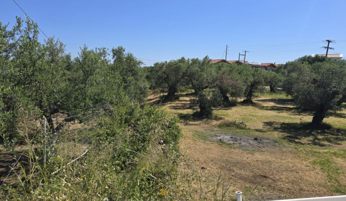 Tsilivi, Zante, Greece (18)