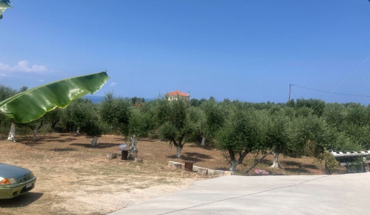 Tsilivi, Zante, Greek Islands (32)