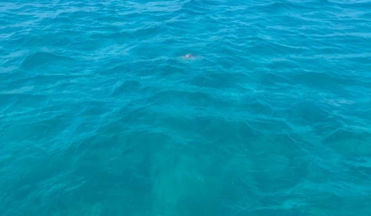 Tsilivi, Zante, Greek Islands (58)