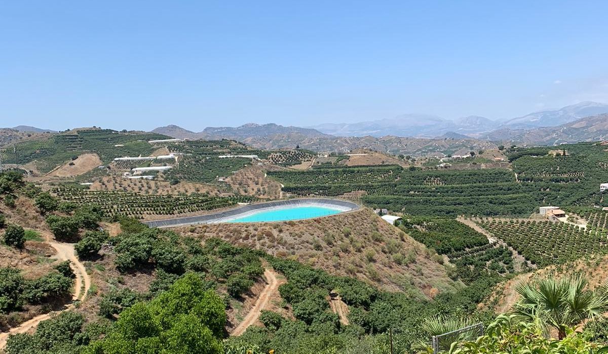 Velez Malaga July 2020 (1)