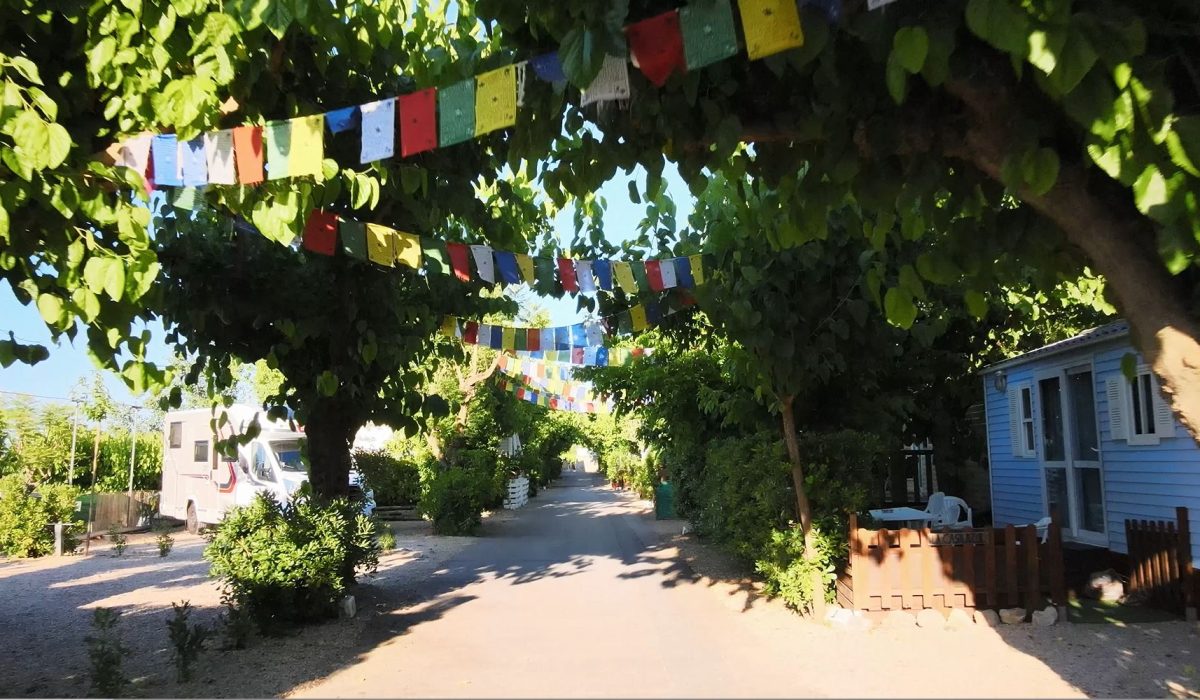 Xativa Video Stills (1)