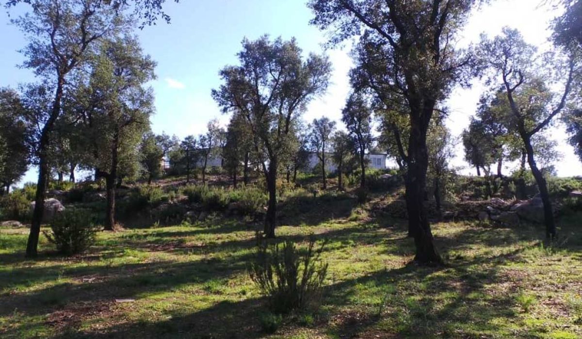 figueres-costa-brava-11