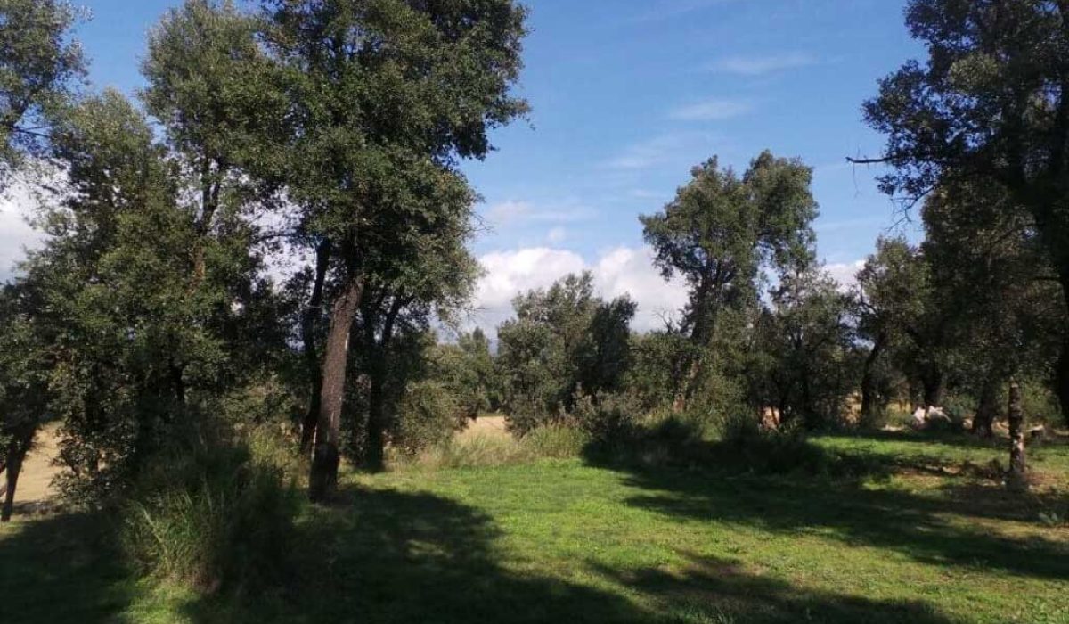 figueres-costa-brava-9