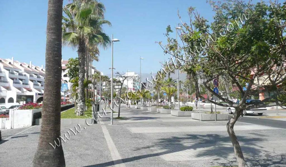 las-galletas-tenerife-12