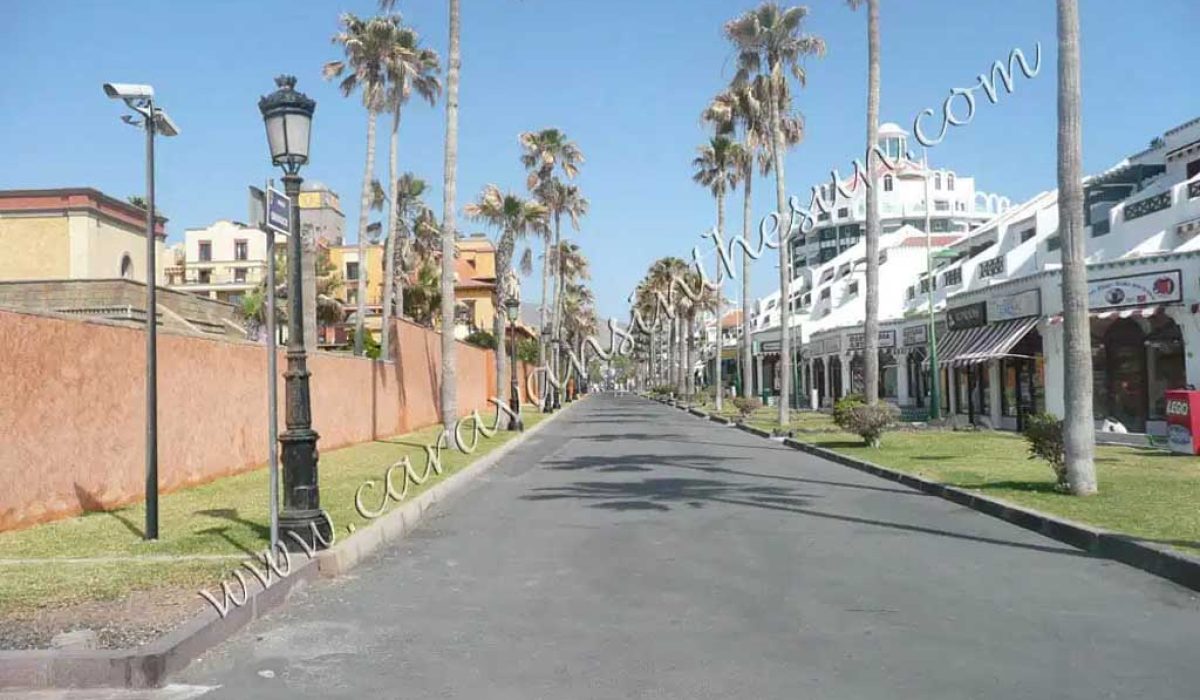 las-galletas-tenerife-13