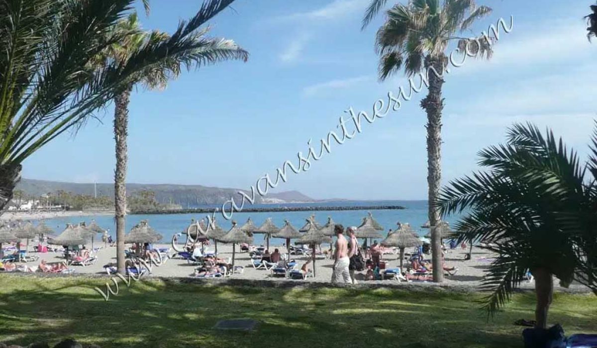 las-galletas-tenerife-14