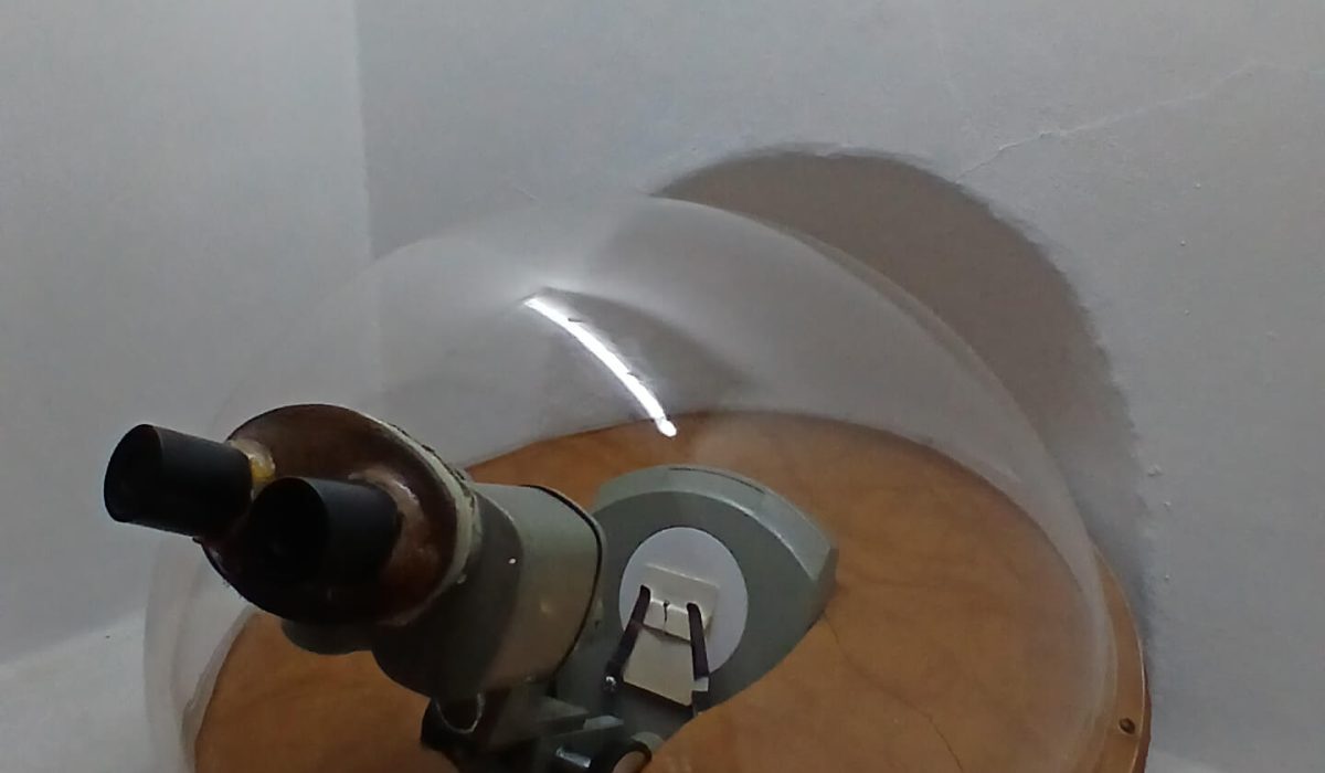 Macro Miniature Museum (1)