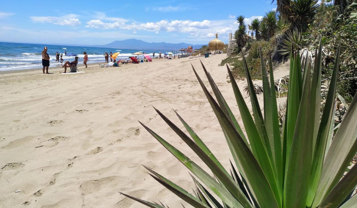 Marbella Buganvilla Beach 10 Minutes Walk