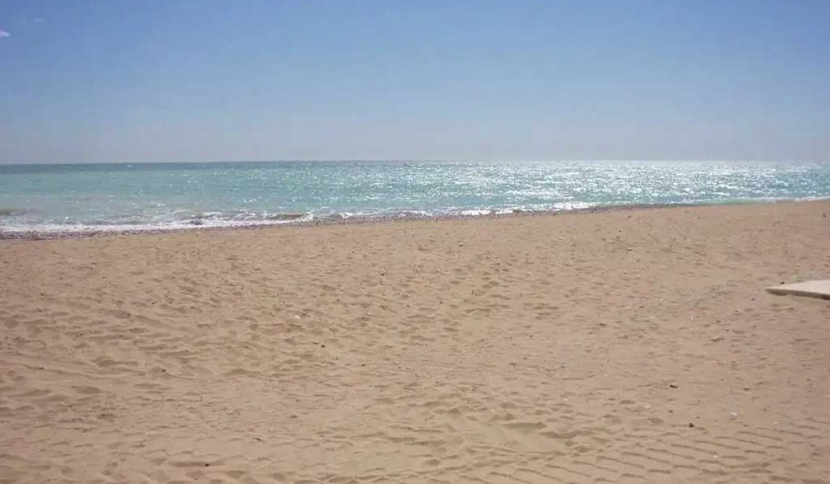 nules-5