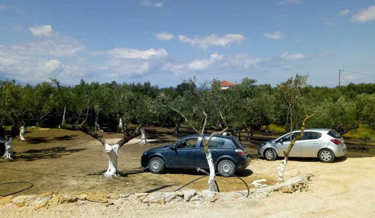 zante-tsilivi-13